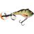 Berkley Pulse Spintail XL 10cm/28gr, Varianta (50): Spintail XL 10cm/28gr Insta Perch - - Roveli
