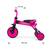 Tricicleta pliabila, transformabila in Bicicleta fara pedale, Grande Pink - 8- Roveli