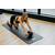 Roata fitness pentru abdomene, Ab Wheel, 33x20 cm cu saltea din spuma Eva 33, 5x17x0, 8 cm, FitLi - 4- Roveli