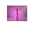 Aripi de dans fluture DacEnergy©, pentru spectacol, cu Led, stralucitoare, 360 de grade, model simplu, 300 cm, fucsia - - Roveli
