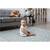 Covoras pliabil din spuma, doua fete, izolare termica, model frumos, unic, ocean, 200 x 180 x 1 cm, albastru - 10- Roveli