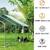 Cotet pentru gaini DacEnergy©, cadru metalic galvanizat, plasa hexagonala de protectie din sarma vopsita, prelata impermeabila, Oxford 210D, o usa, usor de montat, 3 x 2 x 1, 95 m, verde si argintiu - 5- Roveli