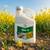 Tilmor 240EC 5L fungicid sistemic contra Putregai, Patarea bruna, Fainare, Alege ambalajul dorit: 5 litri - - Roveli