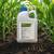 Principal Forte 2400g + Vivolt 2.5L - erbicid complet pentru postemergenta la porumb 5Hectare, Alege ambalajul dorit: 5 hectare - - Roveli