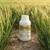 FUNDAMENTUM 700 WG - 150 g + adjuvant ASYSTENT 0.5 litri, 5 ha Innvigo, cereale - - Roveli