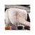 Perna tetiera auto ultra soft LUXURY Alcantara 30x20x8cm Cod: FS-6511 - 9- Roveli