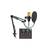 Set Profesional Mixer Audio Si Microfon : Culoare - negru, Culoare (tm): negru - 3- Roveli
