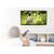 Suport TV GoGEN M, diagonala 23"-42" (58 - 106 cm), inclinare 0°-10°, 50 kg, VESA - 4- Roveli