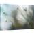 Tablou canvas - Jasmine, Floare, Flora, Floral, Iasomie, Macro, 40 x 60 cm - - Roveli