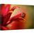 Tablou canvas - Pur si Simplu Rosu, Rosu, Gargarita, Pasiune, Floare, 60 x 90 cm - - Roveli