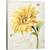 Tablou canvas - Sub Soare II, 40 x 50 cm - - Roveli
