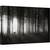 Tablou canvas - Cerb, Cerb, Soare, Dimineata, Padure, Pomi, Ceata, 40 x 60 cm - - Roveli