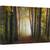 Tablou canvas - Padurea Colorata de Toamna, Drum, Mod, Perspectiva, Poteca, 60 x 90 cm - - Roveli
