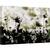 Tablou canvas - Corul de Toamna, Tonifiat, Flori, Japonia, Lunca, Gradina, Toamna, 60 x 90 cm - - Roveli