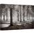 Tablou canvas - Debutul Iernii, Padure, Iarna, Zapada, Gheata, Pomi, Racoare, 60 x 90 cm - - Roveli