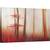Tablou canvas - Frunze Rosii, Toamna, Infrangere, Rosu, Frunze, Danemarca, Padure, 50 x 80 cm - - Roveli