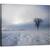 Tablou canvas - Impresie de Iarna, Peisaj, Copac, Alp, Alpin, Singuratic, Iarna, 60 x 75 cm - - Roveli