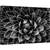 Tablou canvas - Matematica Naturala, Inchis, Detaliu, Simetrie, Botanic, Macro, Abstract, 60 x 90 cm - - Roveli