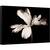 Tablou canvas - Natura Moarta, Floare, Alb-Negru, Intunecos, 40 x 60 cm - - Roveli