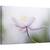 Tablou canvas - Nemorosa, Floare, Roz, Petale, Moale, 80 x 120 cm - - Roveli