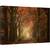 Tablou canvas - Plimbare Toamna, Peisaj, Razele Soarelui, Raze de Lumina, Toamna, Infrangere, Drum, 40 x 60 cm - - Roveli
