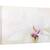 Tablou canvas - Puritate, Magnolie, Alb, Flora, Macro, 60 x 90 cm - - Roveli