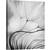Tablou canvas - Sprijinire, Papadie, Seminte, Moale, Bland, Fragil, 40 x 50 cm - - Roveli