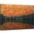 Tablou canvas - Umbra se Estompeze, Toamna, Infrangere, Frunzis, Pomi, Padure, Asiatic, 60 x 90 cm - - Roveli