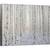 Tablou canvas - Alb, Mesteacan, Padure, Pomi, Copac, 50 x 70 cm - - Roveli