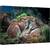 Tablou canvas - Animal, Lynx, Pradator, Cuplu, Pereche, Cabarga, 80 x 120 cm - - Roveli