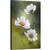Tablou canvas - Cosmos, Natura Moarta, Cosmos, Floare, Flori, Muguri, 60 x 90 cm - - Roveli