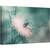 Tablou canvas - Fecioara, Floare, Macro, Roz, Moale, Gradina, 40 x 60 cm - - Roveli