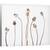 Tablou canvas - Flori de Maci, Natura Moarta, Grafic, 60 x 75 cm - - Roveli