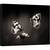 Tablou canvas - Fluture, Insecta, Natura, Floare, Fluturi, Spania, 60 x 80 cm - - Roveli