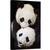 Tablou canvas - Frati, Panda, Ursi Panda, Animal, Dragut, Blana, 40 x 60 cm - - Roveli