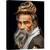 Tablou canvas - Portretul Unui Sadhu, Batran, Portret, Varsta, Par, Sadhu, India, 75 x 100 cm - - Roveli