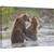 Tablou canvas - Razboiul Ursilor, Fauna, Salbatic, Natura, Animale, Ursi Bruni, Urs Brun, 40 x 60 cm - - Roveli