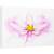 Tablou canvas - Briza, Floare, Roz, Prim-Plan, 40 x 60 cm - - Roveli