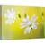 Tablou canvas - Cusatura, Vara, Macro, Floare, Moale, 80 x 120 cm - - Roveli