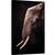 Tablou canvas - Elefant, Colti, Intelept, Cunoastere, 60 x 90 cm - - Roveli