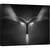 Tablou canvas - Inima de Otel, Arhitectura, Abstract, Reper, Malaysia, Urbana, Alb-Negru, 60 x 80 cm - - Roveli