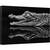 Tablou canvas - Oglinda, Animal, Taratoare, Alb-Negru, Oglinda, Crocodil, Aligator, 60 x 90 cm - - Roveli
