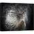 Tablou canvas - Par Cu Praf, Fata, Par, Blit, Rapid, Dansator, 60 x 80 cm - - Roveli