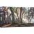 Tablou canvas - Pini, Raze, Padure, Pomi, Origini, Pin, 50 x 100 cm - - Roveli