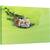 Tablou canvas - Relaxare, Tigru, Inot, Alge, Relaxare, Animal, Baie, 80 x 120 cm - - Roveli