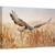Tablou canvas - Soim, soarece, Vultur, Camp, Aripi, Zbor, Zbor, 40 x 60 cm - - Roveli