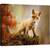 Tablou canvas - Vulpe, Vulpe, Bebe, Dragut, Animal, 60 x 80 cm - - Roveli