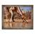 Tablou inramat - Eric Meyer - Baut, 60 x 80 cm - - Roveli