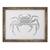 Tablou inramat - Florent Bodart - Crab, 60 x 80 cm - - Roveli