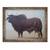 Tablou inramat - Lincoln Seligman - Taurul II, 60 x 80 cm - - Roveli
